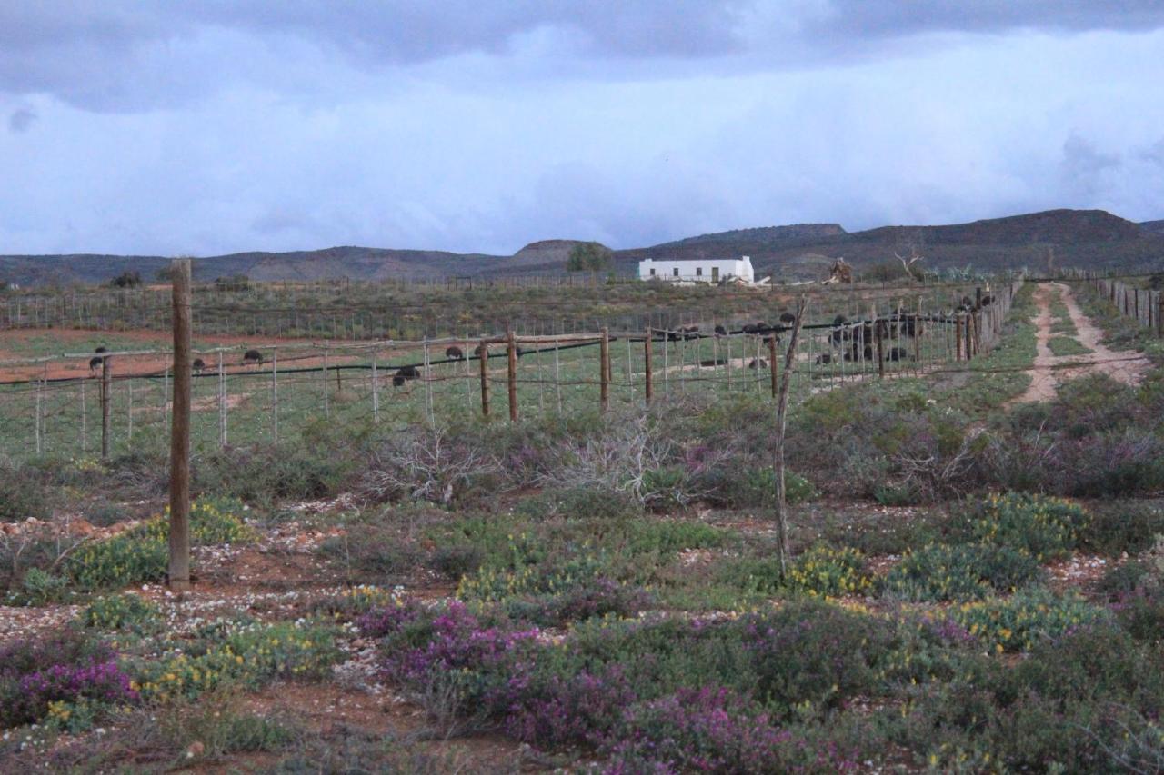 Pureplaas Self Catering Volmoed Oudtshoorn Klein Karoo Apartment Exterior foto