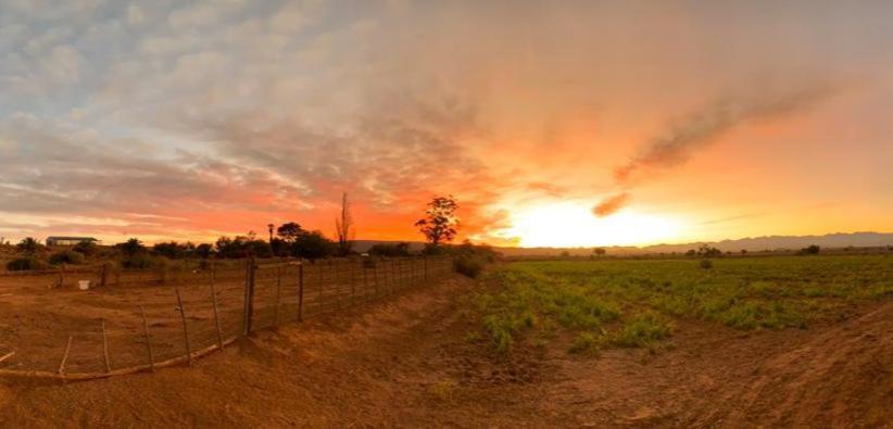 Pureplaas Self Catering Volmoed Oudtshoorn Klein Karoo Apartment Exterior foto
